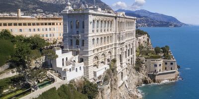 Anteprima di uno spazio reale